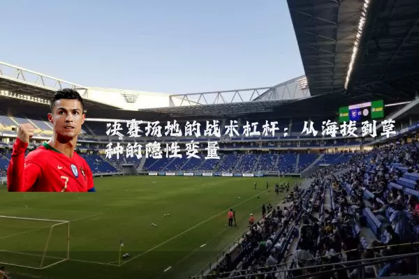 决赛场地的战术杠杆：从海拔到草种的隐性变量